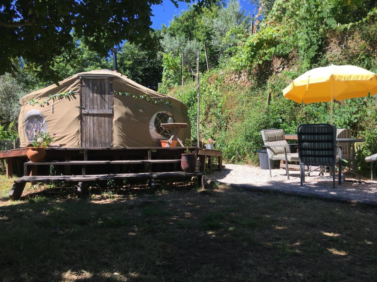 Star Gazing Luxury Yurt With River Views, Off Grid Eco Living Vale do Barco Exterior foto
